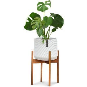 Mid Century Modern Plant Stand for Indoor Plants, Acacia Wood -  12" Pot